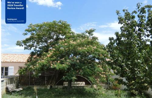 Coquet appartement T2 en pavillon - Foto 4