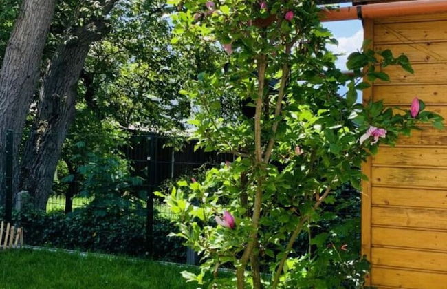 Bernhard Schmidt-gasse - Foto 19