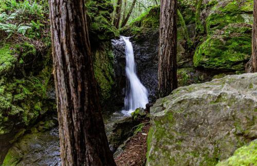 Enchanted Waterfall Sanctuary - Foto 6