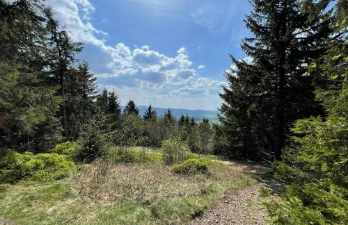 GreenHolidays - Foto 39