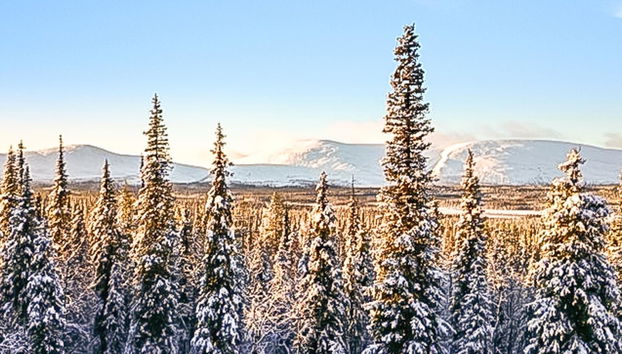 Pallaksen valkkorinne - Photo 3, Inside other