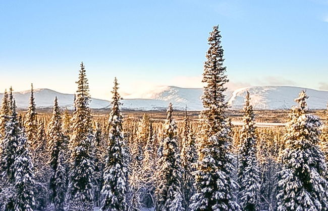 Pallaksen valkkorinne - Photo 3