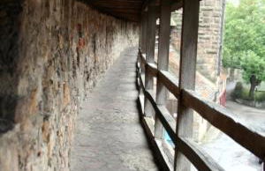 TauberChalet I Private Spa mit Sauna & Whirlpool I Natur I 10 Min zur Altstadt - Foto 32