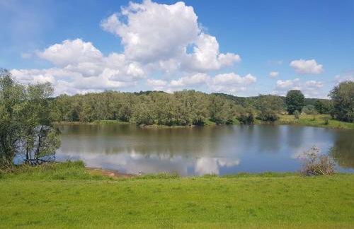 Krötenhof Barförde - Foto 49