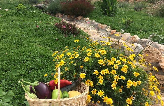 Ambar Evleri - Foto 45