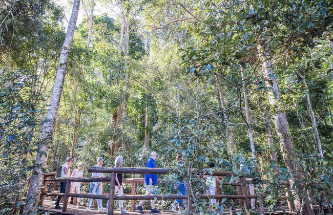 Sunshine Coast Hinterland Scenic with Food and Wine Tastings - Full-Day Small Group Tour - Foto 7