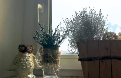 Ferienwohnung Musche - Photo 16