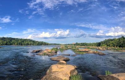 The Divine Cottage! Woodsy Hideaway! - Foto 67