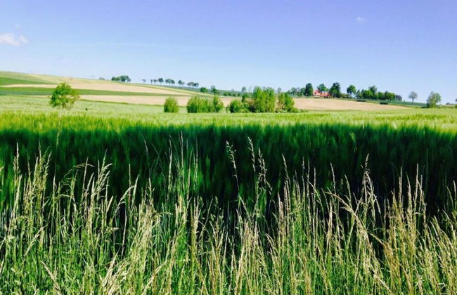 Apartment Directly on the Rennsteig - Photo 28