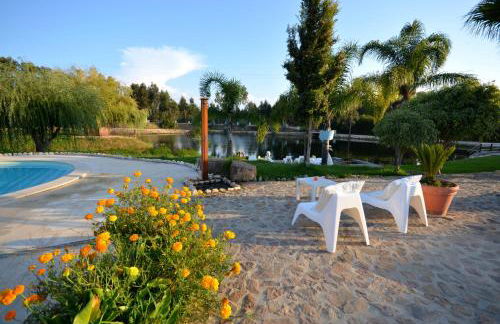 Herdade do Sardanito da Frente - Foto 43