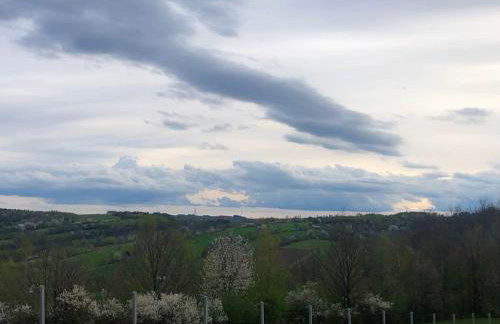 Zielony Zakątek - Foto 24