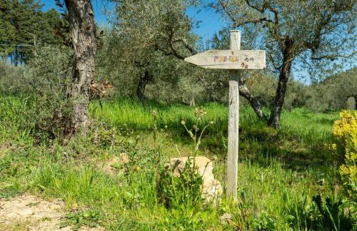 Cottage La Dolce Agogia Panicale - Foto 25