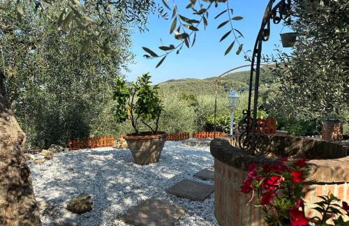 Agrihome di Alberto Giuseppe Gulotta B&B Bella Vista Chalet La Vista - Foto 31