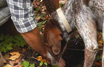 Cascina Burroni - Foto 46