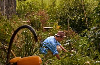 Weingut Griesserhof - Foto 25