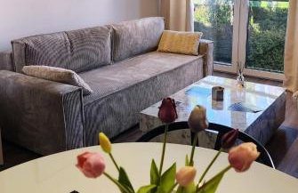 Apartament Dzierżonia 12 - Foto 9