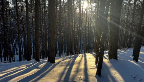 Relax Hütten & Spa Gröden - Foto 2