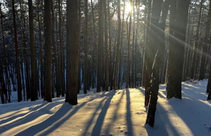 Relax Hütten & Spa Gröden - Foto 2