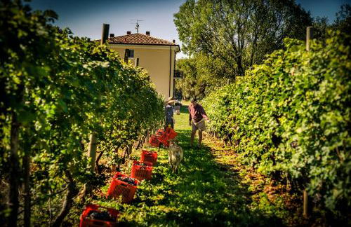 Agriturismo Olistico Atman - Foto 16