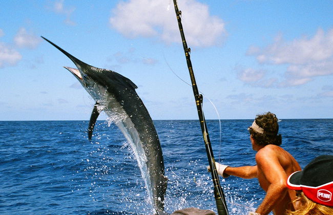 Pesca en alta mar - Foto 1