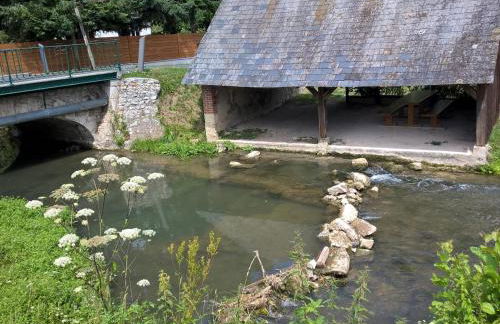 Charmant gîte près des châteaux, jardin et rivière - FR-1-491-404 - Foto 7