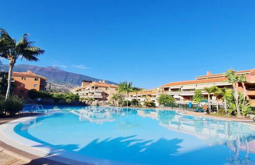 Retama del Teide, Puerto de la Cruz - Foto 2