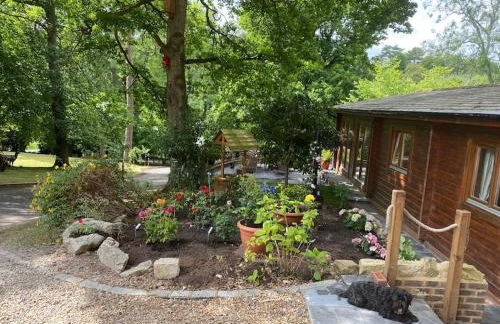 3 Bedroom Lodge Hotub pool in Horsley Surrey UK - Photo 1