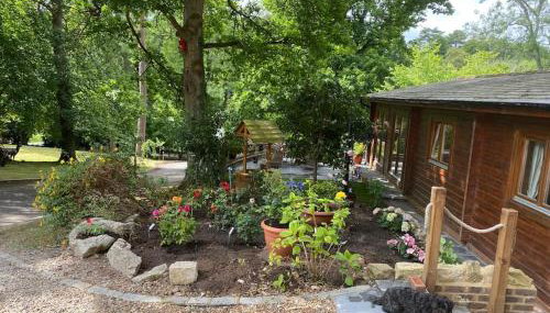 4 bedroom Lodge Hotub-Pool in Surrey UK - Foto 1, Garden