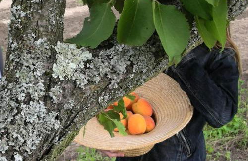 La Villa Noyau Doux - Foto 30