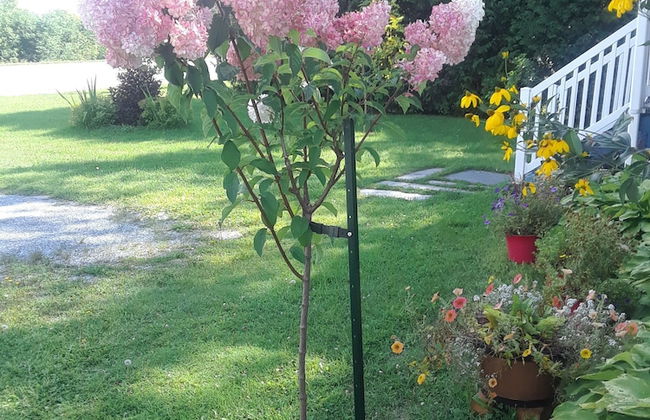 The Little Warm House - bed and Breakfast for Rent - Foto 8