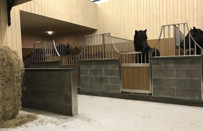 Elding Apartments - Foto 26