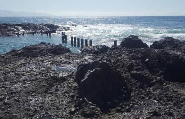 Terraza Alcalá - Photo 35