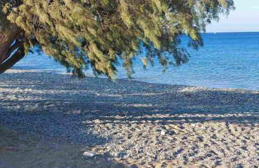 Olivar Suites - Photo 25