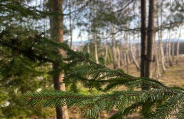 Domki na Górniej Łące - Dwa Wróble - Foto 6