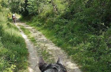 Maison Jardin Proche Paris - Foto 35