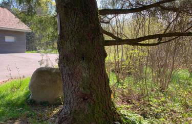 La cabane des écureuils - Foto 31