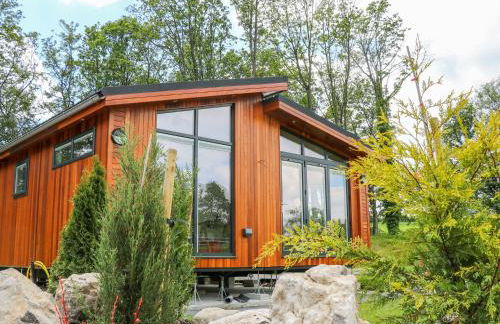 Robin Lodge - Foto 13