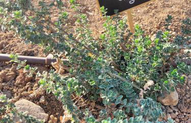 Villa Penelope - Foto 68