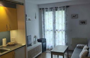Apartamento Riglos Candanchu - Photo 4