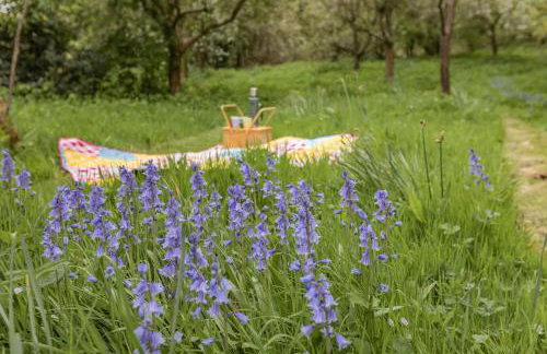 Saint Pancras Chapel - Foto 70