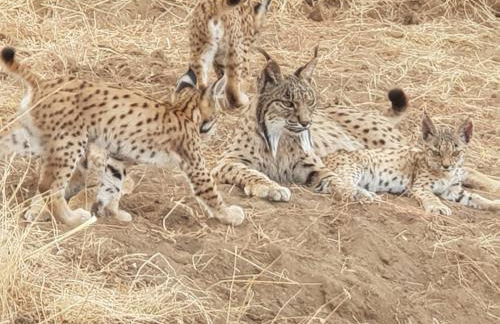 Hacienda Olontigi - Foto 57