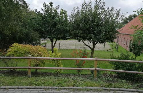 Kapitänsliebe - Foto 23