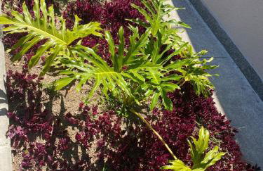 Recanto do Prainha - Foto 56