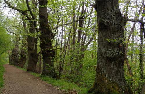 La Roche Pérégrine - Photo 38