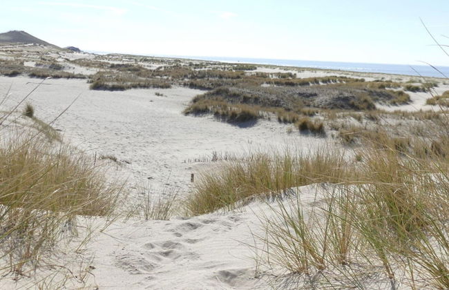 Holiday Apartment Zonnewende 16 - Foto 18