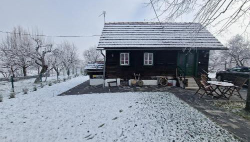 Holiday home Hižica v plavem trnacu - Foto 3
