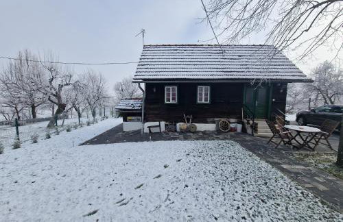 Holiday home Hižica v plavem trnacu - Foto 3