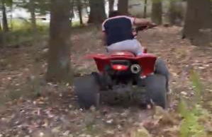 The Babbling Brooke - Foto 27