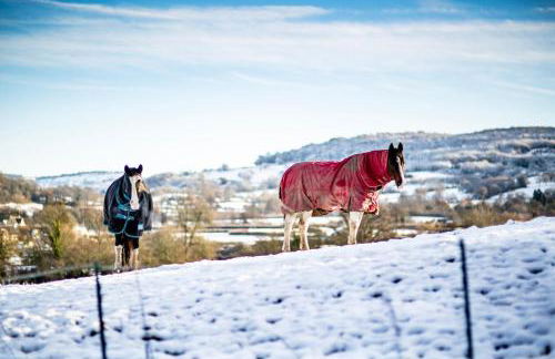 The Organic Cotswolds Shepherds Hut - Photo 68