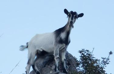 Blue Coast House - Foto 50